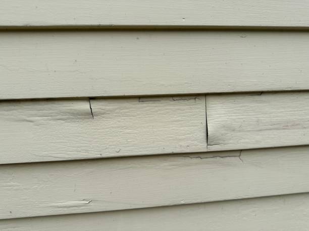 Best Wood Siding Installation  in Caledonia, MS